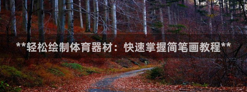 耀世国际平台正规吗安全吗：**轻松绘制体育器材：快速
