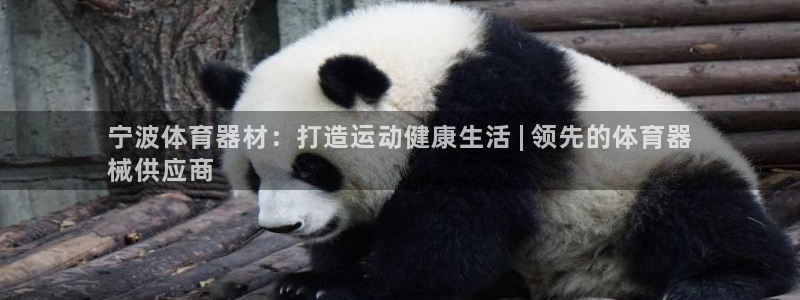 耀世娱乐联 585341：宁波体育器材：打造运动健康