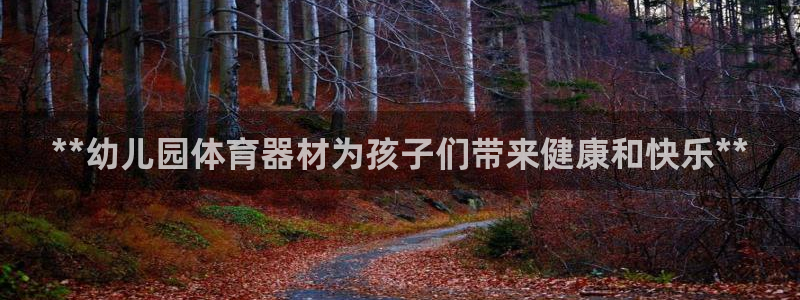 耀世平台管 5O6917 耀世：**幼儿园体育器材为