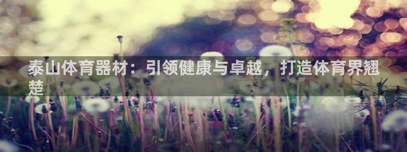 耀世集团：泰山体育器材：引领健康与卓越，打造体育界翘