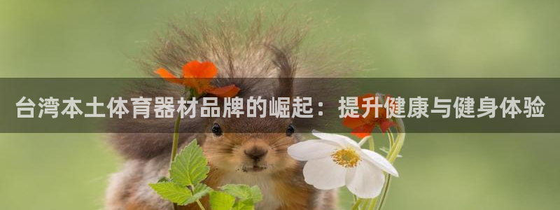 耀世国际平台正规吗可信吗安全吗：台湾本土体育器材品牌