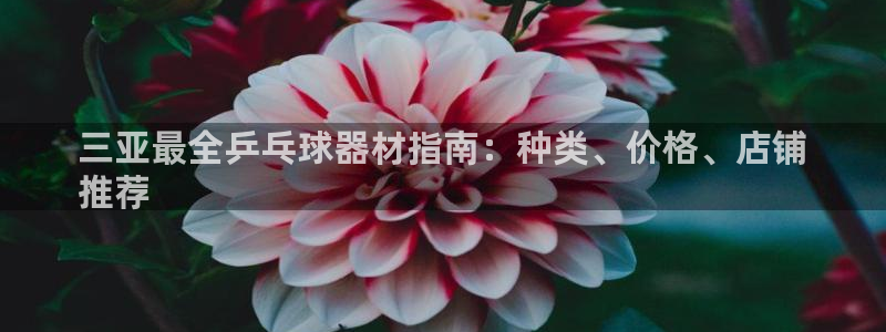 耀世集团公益：三亚最全乒乓球器材指南：种类、价格、店