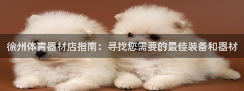 耀世微光歌曲下载：徐州体育器材店指南：寻找您需要的最