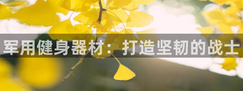 耀世娱乐挂机教程视频：军用健身器材：打造坚韧的战士