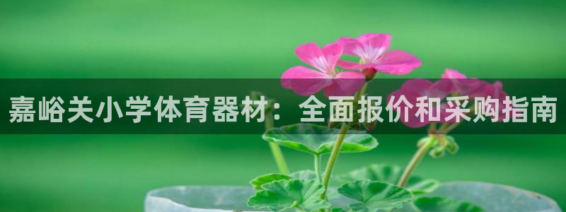 耀世平台注册开户流程：嘉峪关小学体育器材：全面报价和