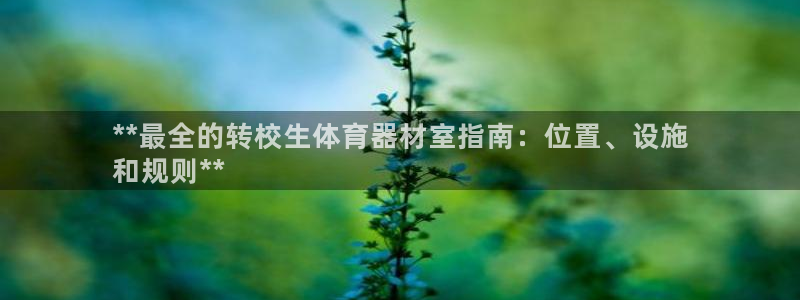 耀世娱乐老板是谁：**最全的转校生体育器材室指南：位