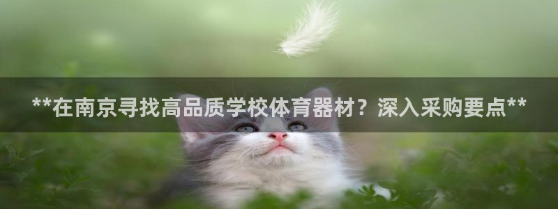 耀世登场一样的词：**在南京寻找高品质学校体育器材？