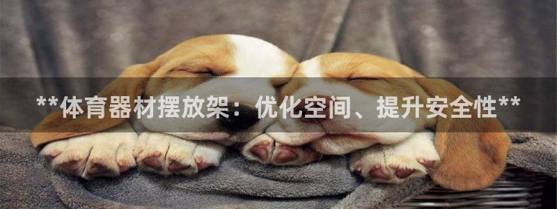 耀世挑战第三关怎么打：**体育器材摆放架：优化空间、