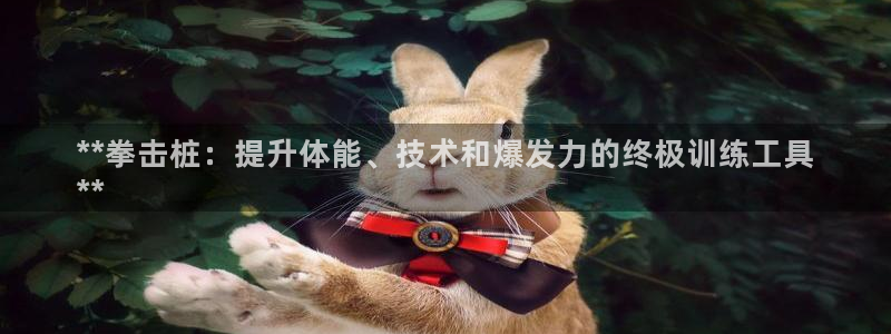 耀世娱乐平台主管：**拳击桩：提升体能、技术和爆发力