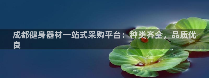 耀世团长：成都健身器材一站式采购平台：种类齐全，品质