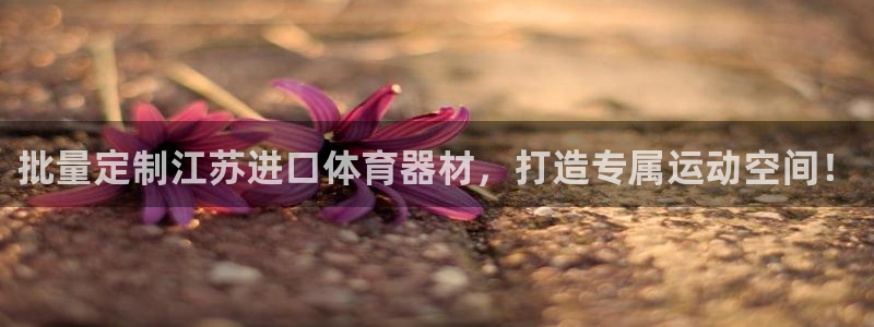 耀世娱乐平台官网登录入口下载：批量定制江苏进口体育器