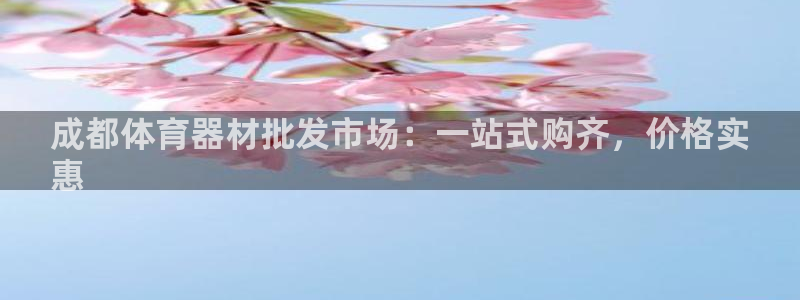 耀世平台有很多登录地址：成都体育器材批发市场：一站式