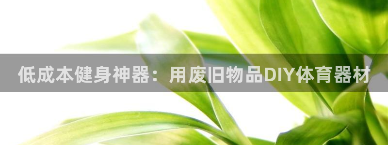 耀世平台心 58534I 耀世：低成本健身神器：用废