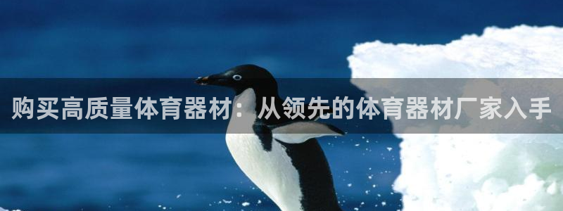耀世平台总代理：购买高质量体育器材：从领先的体育器材