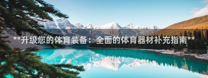 耀世娱乐客服：**升级您的体育装备：全面的体育器材补
