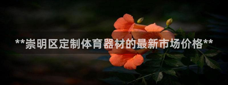 耀世平台总代理电话：**崇明区定制体育器材的最新市场