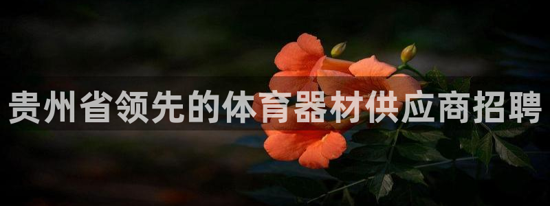 耀世广告：贵州省领先的体育器材供应商招聘