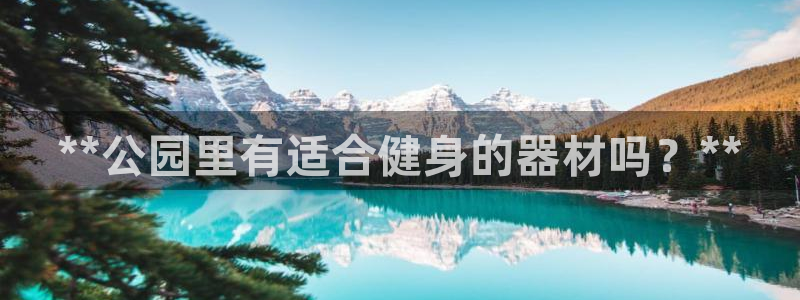 耀世娱乐脚本下载安装：**公园里有适合健身的器材吗？