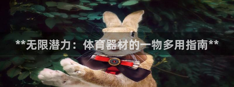 耀世娱乐提现失败怎么回事：**无限潜力：体育器材的一
