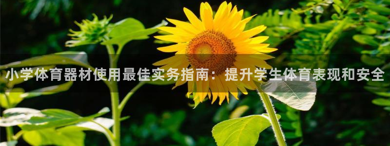 耀世娱乐代理什么待遇：小学体育器材使用最佳实务指南：