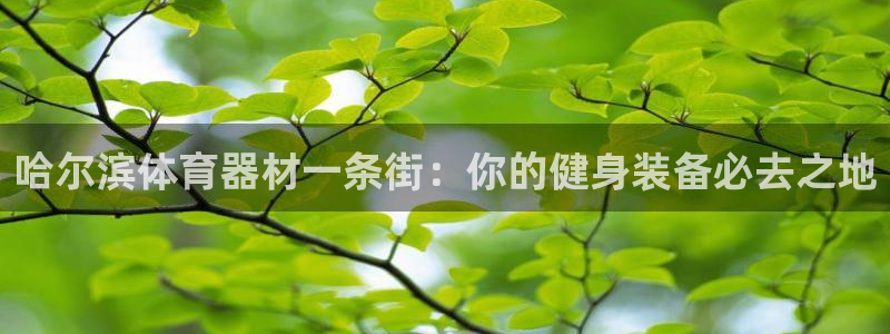 耀世娱乐百科百度：哈尔滨体育器材一条街：你的健身装备必去之地