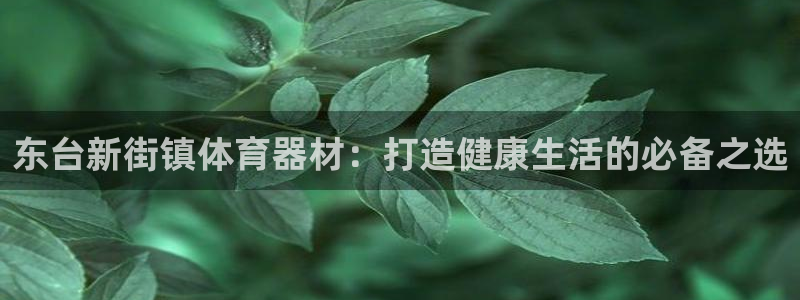 耀世集团视频直播怎么样：东台新街镇体育器材：打造健康
