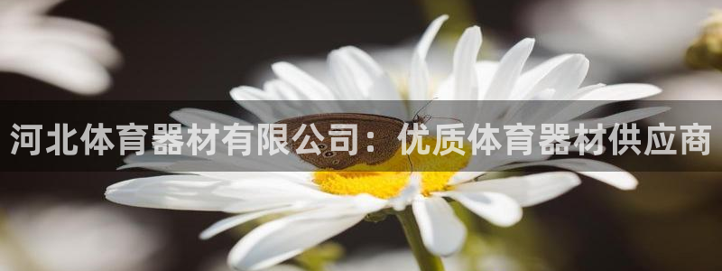 耀世娱乐在线登录官网入口手机版：河北体育器材有限公司