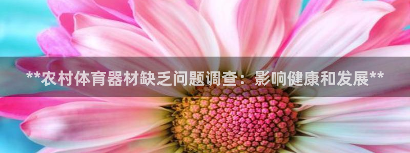 耀世娱乐脚本下载安装：**农村体育器材缺乏问题调查：