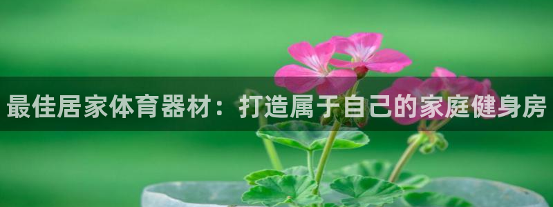耀世平台注册步骤：最佳居家体育器材：打造属于自己的家