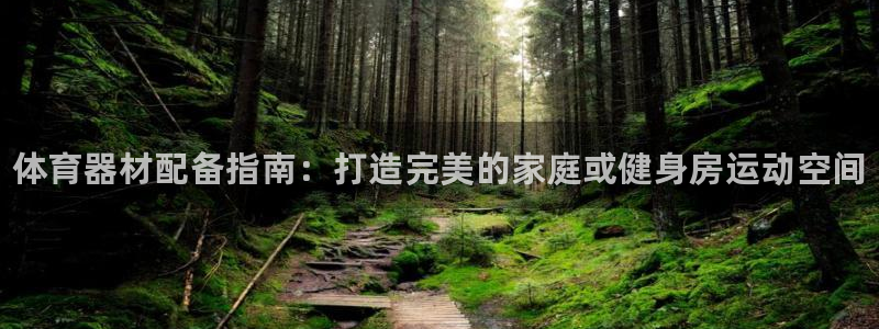 耀世平台管 411O31 平台：体育器材配备指南：打