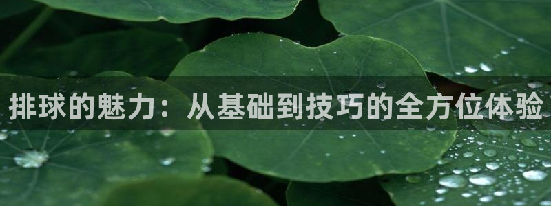 耀世娱乐app下载