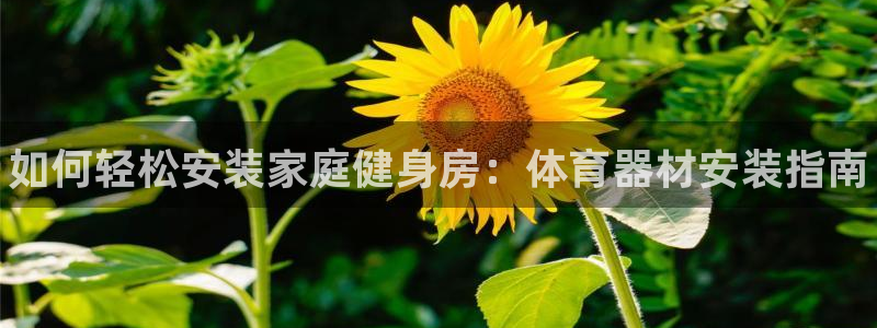 耀世娱乐挂机教程：如何轻松安装家庭健身房：体育器材安装指南