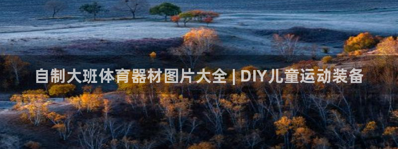 耀世娱乐能提现吗现在：自制大班体育器材图片大全 | 