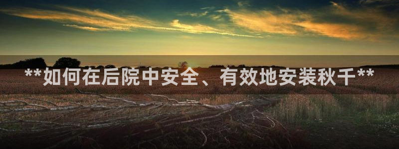 耀世出行：**如何在后院中安全、有效地安装秋千**