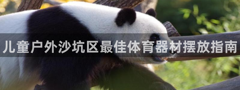 耀世登场下一句：儿童户外沙坑区最佳体育器材摆放指南