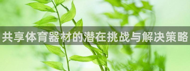 耀世平台代理怎么做任务：共享体育器材的潜在挑战与解决策略