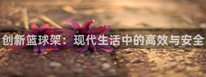 耀世平台app下载：创新篮球架：现代生活中的高效与安