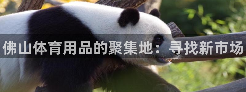 耀世天下的图片：佛山体育用品的聚集地：寻找新市场