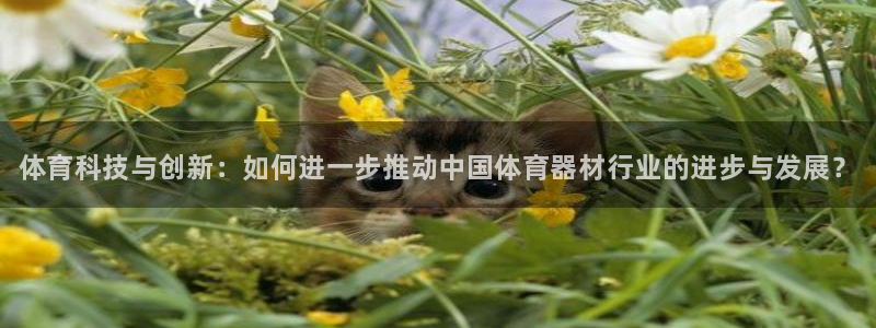 耀世集团员工福利待遇：体育科技与创新：如何进一步推动中国体育