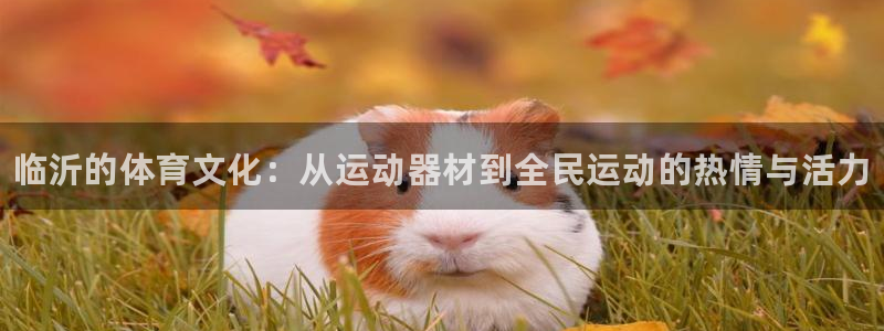 耀世娱乐网址是什么：临沂的体育文化：从运动器材到全民运动的热