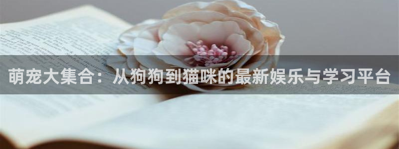 www.宅男视频在线观看：萌宠大集合：从狗狗到猫咪的最新娱乐与学习平台