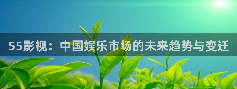宅男视频跳转：55影视：中国娱乐市场的未来趋势与变迁