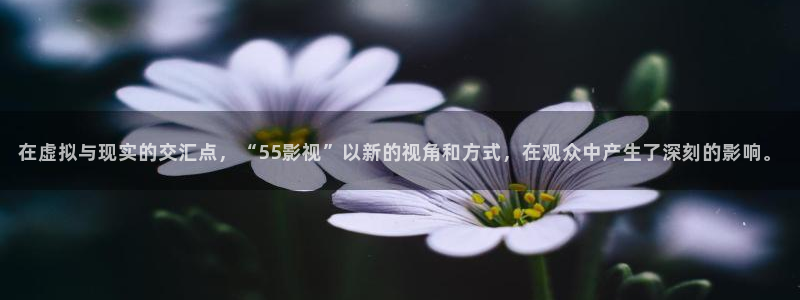 宅男视频无限看：在虚拟与现实的交汇点，“55影视”以新的视角和方式，在观众中产生了深刻的影响。