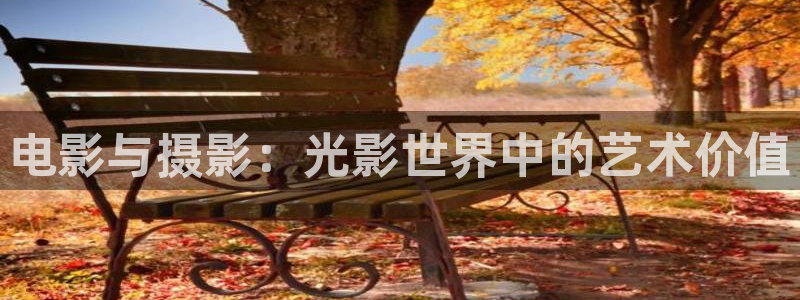 宅男视频网站：电影与摄影：光影世界中的艺术价值