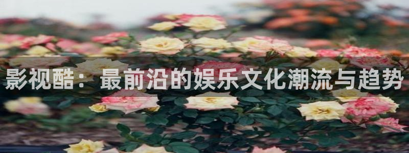 宅男视频在线观看视频：影视酷：最前沿的娱乐文化潮流与趋势