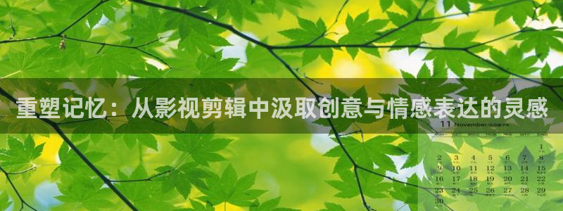 国产一区二区宅男视频：重塑记忆：从影视剪辑中汲取创意与情感表达的灵感