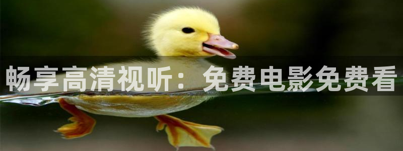 宅男视频在线观看免费：畅享高清视听：免费电影免费看