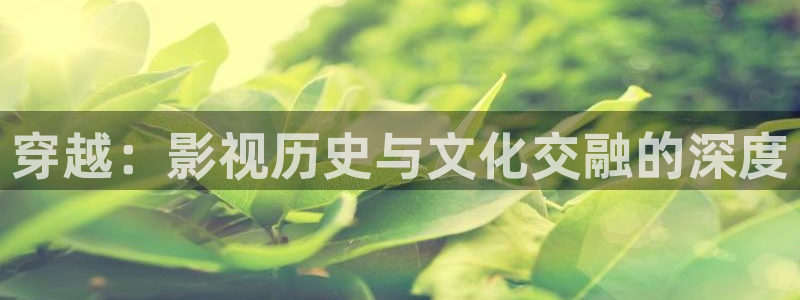 宅男视频污在线观看：穿越：影视历史与文化交融的深度